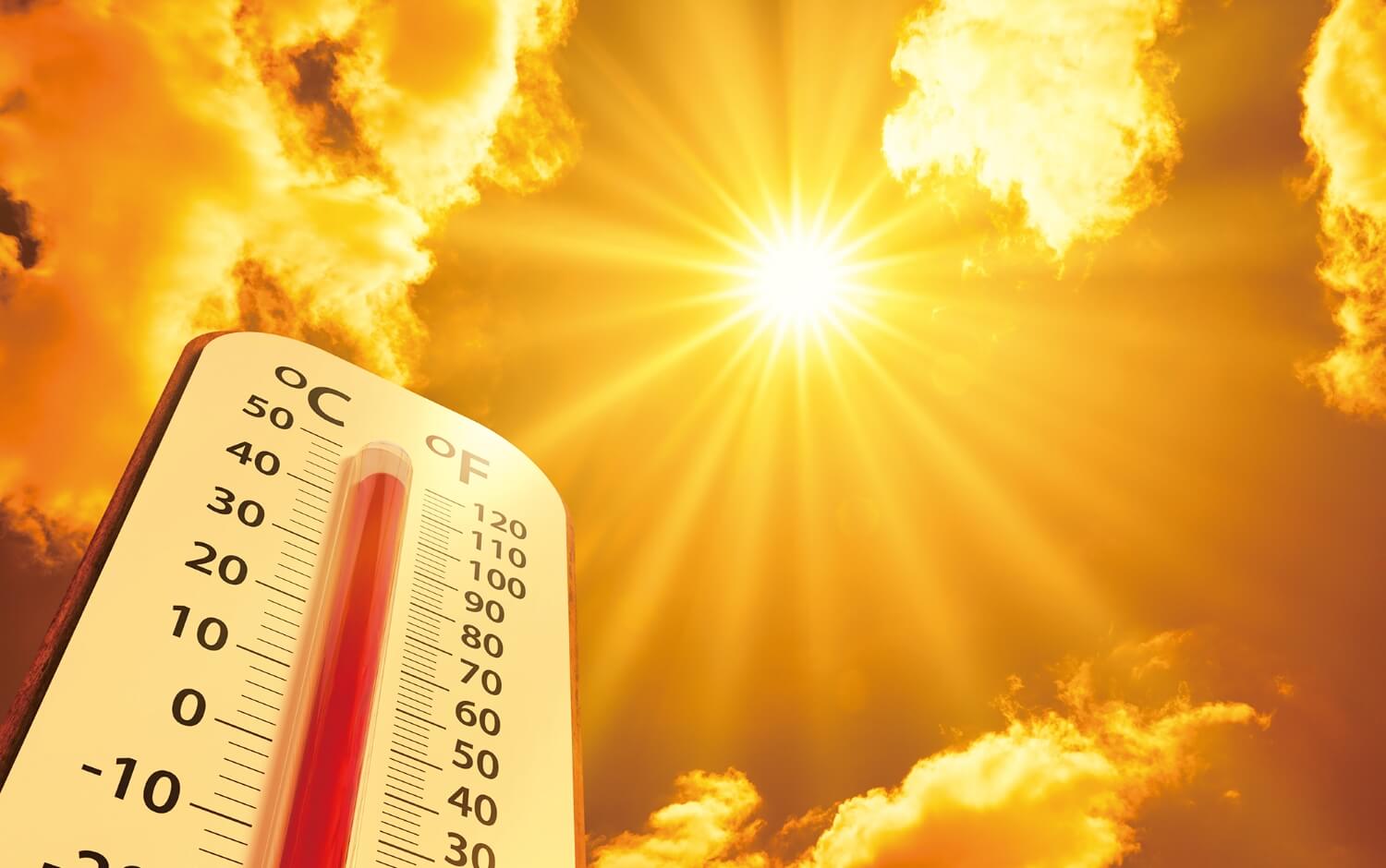 写真:太陽の光が強く降り注ぐ場所に、40度を指す温度計がある様子